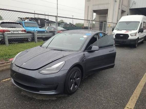 TESLA MODEL 3 2023 5YJ3E1EA8PF625862 image